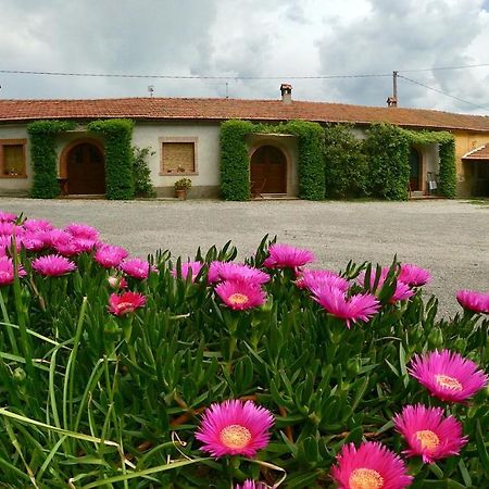 קפאלביו Agriturismo Monte Alzato מראה חיצוני תמונה