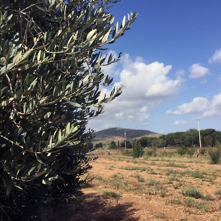 קפאלביו Agriturismo Monte Alzato מראה חיצוני תמונה
