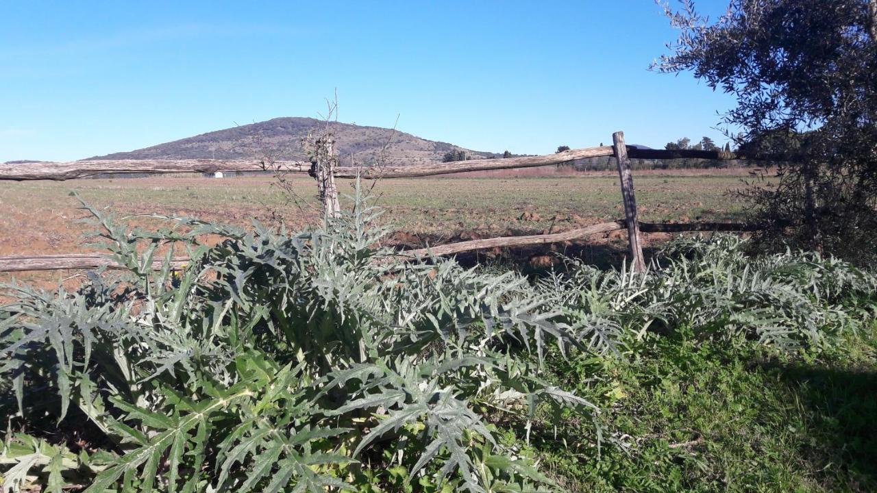 קפאלביו Agriturismo Monte Alzato מראה חיצוני תמונה