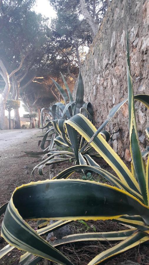 קפאלביו Agriturismo Monte Alzato מראה חיצוני תמונה