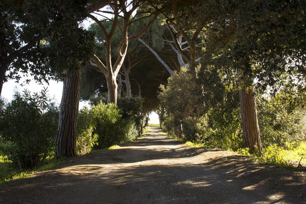 קפאלביו Agriturismo Monte Alzato מראה חיצוני תמונה