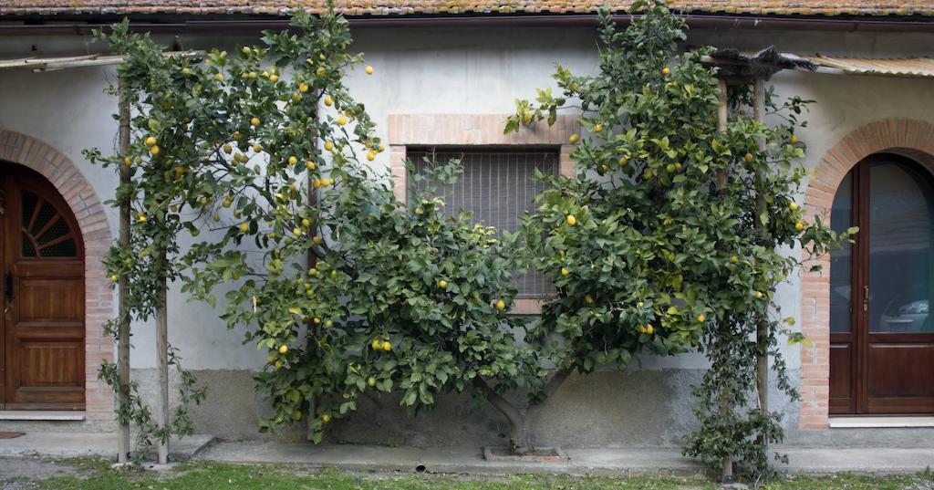 קפאלביו Agriturismo Monte Alzato חדר תמונה