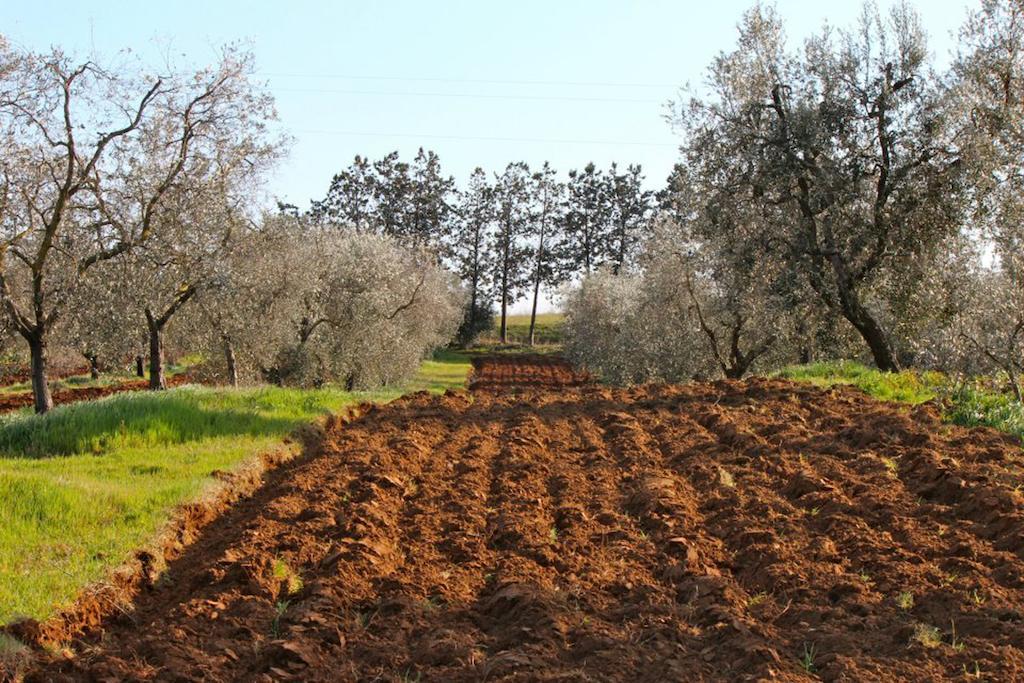 קפאלביו Agriturismo Monte Alzato מראה חיצוני תמונה